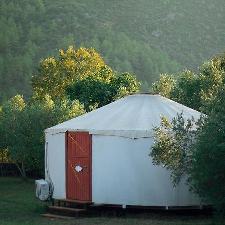 Yol Glamping Hotel Kayakoy Eksteriør billede